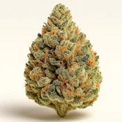 Herbarium |Sour Lavashak | S 1oz Flower
