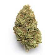 Poison Gushers | Flower Case | Pre-Packed 4g (Campfire Cannabis)