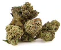 Grasslandz | Glue 31 | 3.5g | Flower