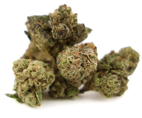Grasslandz - Grasslandz | Glue 31 | 3.5g | Flower Main Image