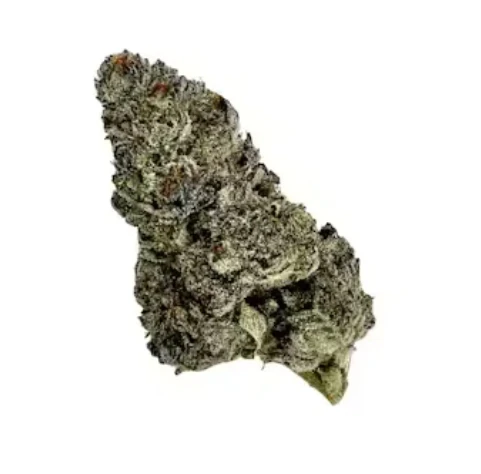 Campfire Cannabis - Grape Canyon Zkittlez | Flower Case | Pre-Packed 3.5g (Flowers/Buds- Packaged) Main Image