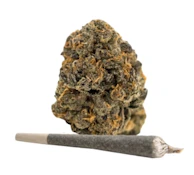 Gary Payton | 1g | Pre-roll- Campfire Cannabis