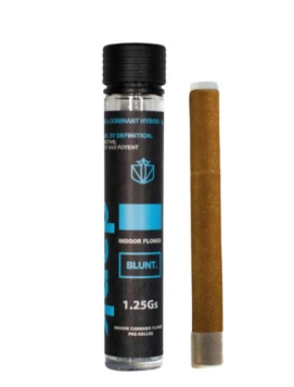 Dank By Definition - B44 Dank Blue Runtz Blunt 1.25g Main Image