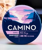 Kiva Camino- Wild Berry 100mg 20ct Tin