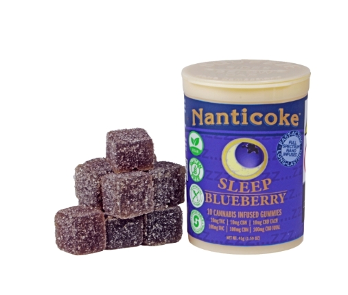 Blueberry (Sleep) - 100mg - Edible