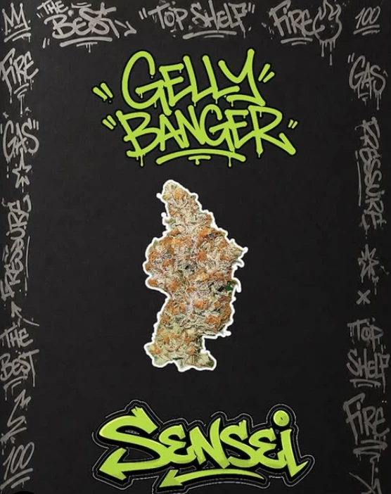 TKS Sensei - TKS Sensei - Gelly Banger - 23.51% THC - 3.5g - Dry Flower Main Image