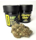 Bubba Kush -Indica- (Flower) 3.5g | Hashtag Honey   -o10