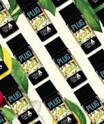 PlugPlay - Pod - Limoncello - 1g