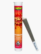 LMFAO | Georgia Peach | 1g Preroll (i)