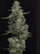  HI-Flyer 3.5g