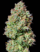 Dream Machine Half Oz 14 Grams