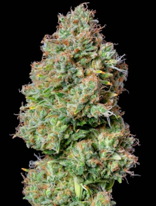 ALTERNATIVE SOLUTIONS - Dream Machine 3.5 Gram Jars By Alt Sol