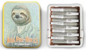 KOA CANNABIS CO. - Infused Prerolls - Sour Diesel x Durban Poison - Live Resin - 10PK - 3.5G