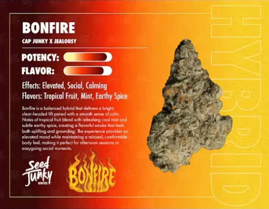 Seed Junky - Seed Junky - Flower - Bonfire - 3.5g Main Image
