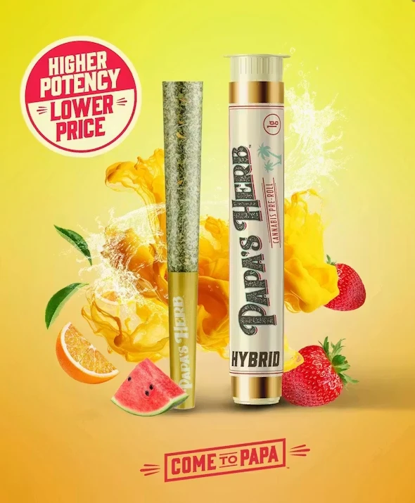 Papa's Herb - PAPA'S HERB - Preroll - Gusherz - 1G Main Image