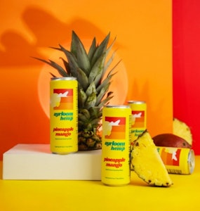 AYRLOOM - Pineapple Mango Beverage - Ayrloom UP 10mgTHC:5mgCBD - 12oz 