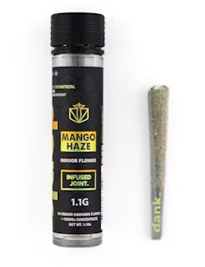 Dank By Definition - F3 Dank Mango Haze Infused Pre-Roll 1.1g