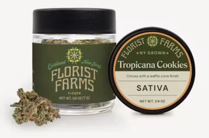 Florist Farms - i31 Florist Farm's Tropicana Cookie's Flower 7g Main Image
