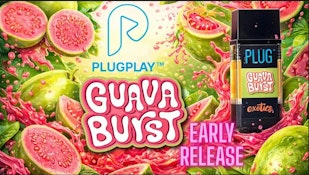 PlugPlay | E Guava Burst | 1g Pod