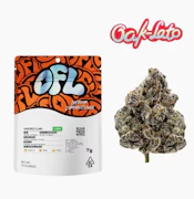Oakfruitland - Flower - Oak-lato - 7g