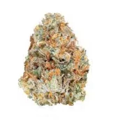 Jungle Wifi | 3.5g (Flowers/Buds - Packaged) | Native Care 