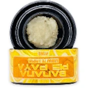 R7 Umamii Banana Pie Paya Live Rosin Jar 1g