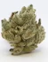Product Preview Image 2