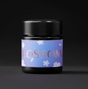 9# Hammer 3.5G by Blossomz