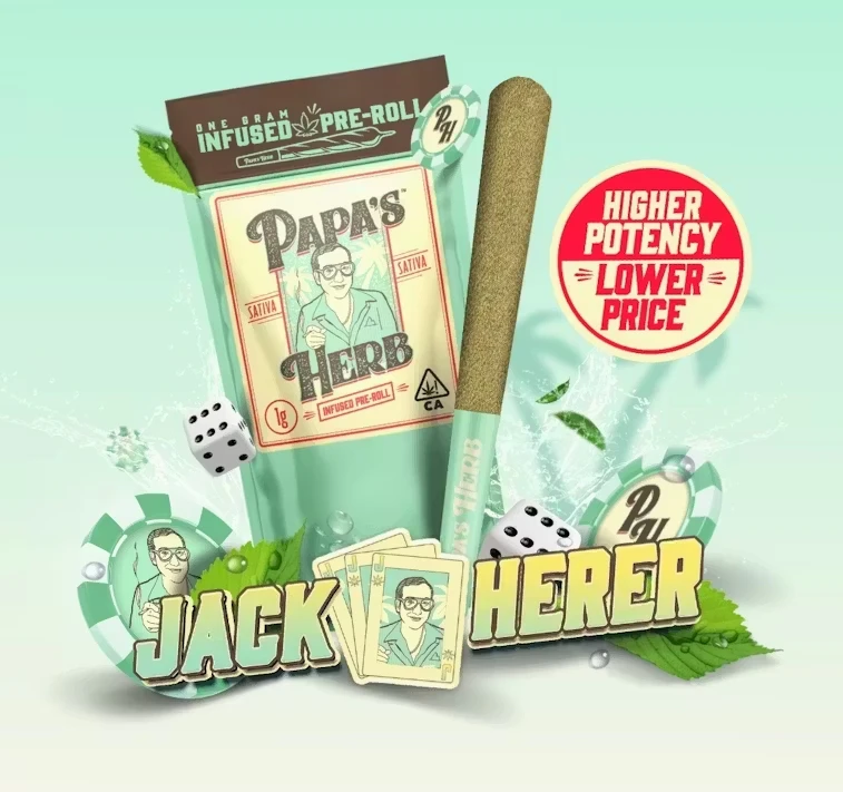 Papa's Herb - Papa's Herb | Jack Herer | (S) Infused Preroll (1g) Main Image