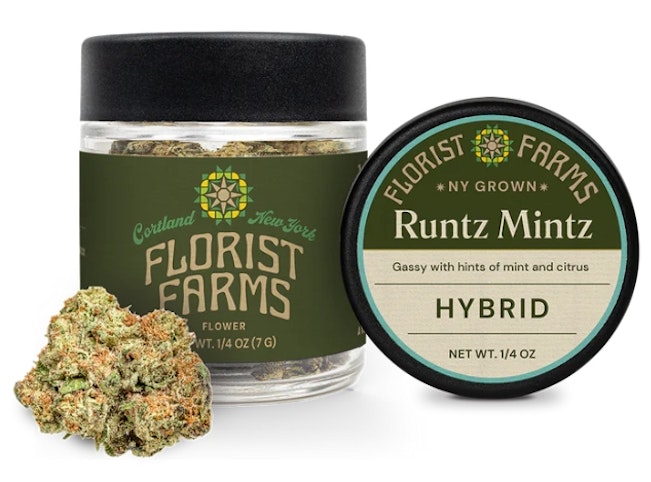 Florist Farms - Runtz Mints | Hybrid | Flower Jar 7.0g | Florist Farms   -gg5