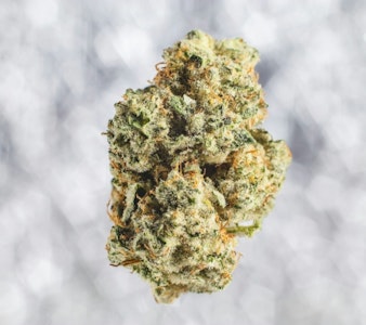 BOUKET - BLUE NERDZ FLOWER - BOUKET - 4g
