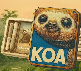 DISTRICT CANNABIS - KOA Live Resin 2 Pack Hybrid Infused Pre Roll