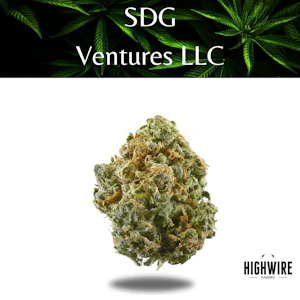 SDG VENTURES - Studio 54 1/8th 