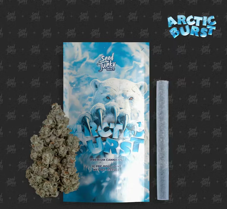 Seed Junky Genetics Michigan - Seed Junky Genetics - 1g Pre Roll - Arctic Burst  Main Image