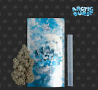 Seed Junky Genetics - 1g Preroll - Arctic Burst