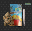 Seed Junky Genetics - 1g Preroll - Gello Shotz