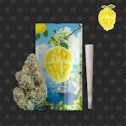 Seed Junky Genetics - 1g Preroll - Lemon Fruz