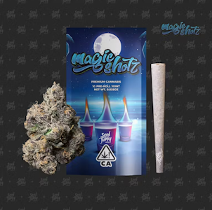 Seed Junky Genetics - Seed Junky Genetics - 1g Preroll - Magic Shotz