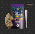 Seed Junky Genetics - 1g Preroll - Permanent Paradize