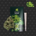 Seed Junky Genetics - 1g Pre Roll - Sour Shotz