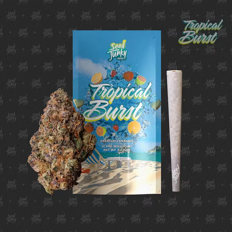 Seed Junky Genetics Michigan - Seed Junky Genetics - 1g Preroll - Tropical Burst Main Image