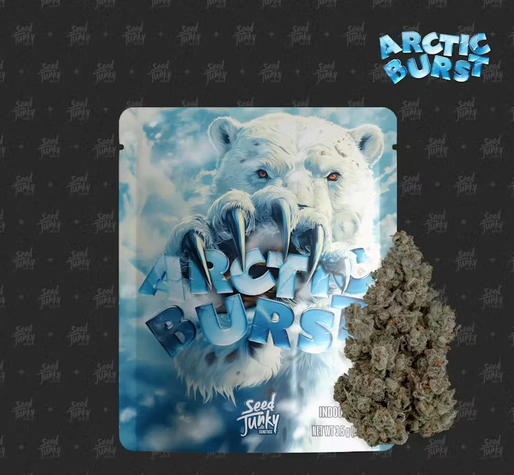 Seed Junky Genetics - Seed Junky Genetics - 3.5g - Arctic Burst Main Image