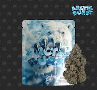 Seed Junky Genetics - 3.5g - Arctic Burst