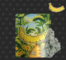 Seed Junky Genetics - 3.5g - Banana Fruz