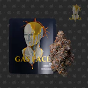 Seed Junky Genetics - 3.5g - Gas Face