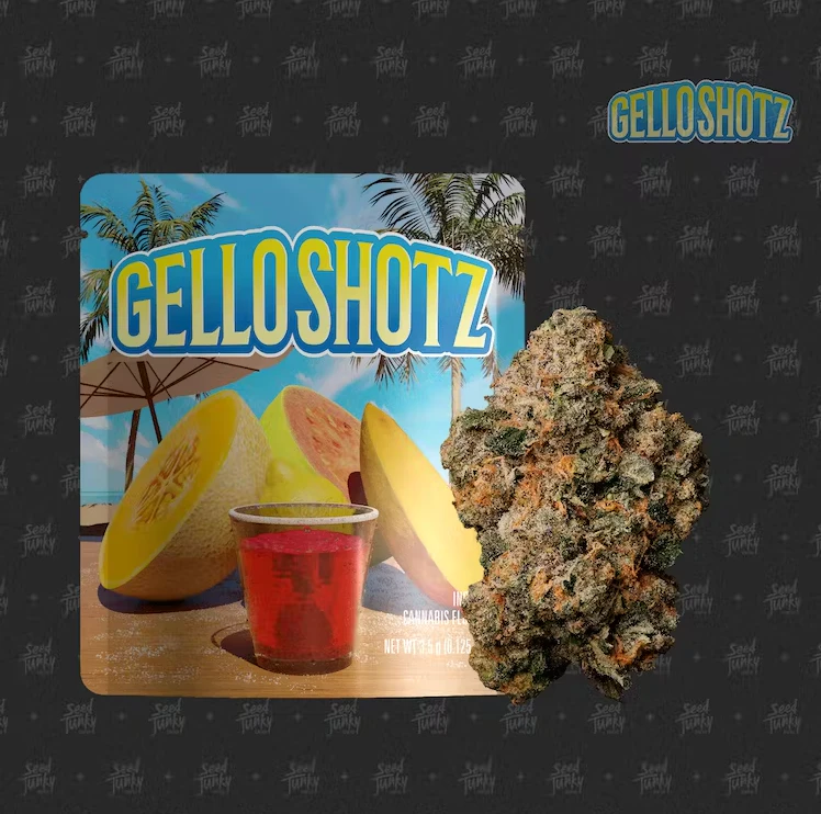 Seed Junky Genetics Michigan - Seed Junky Genetics - 3.5g - Gello Shotz Main Image