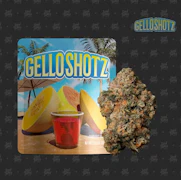 Seed Junky Genetics - 3.5g - Gello Shotz