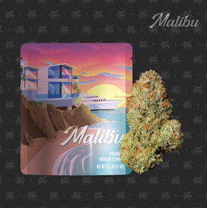 Seed Junky Genetics - Seed Junky Genetics - 3.5g - Malibu