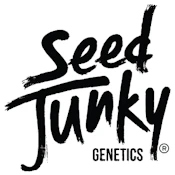 4pk - Chocolatte - 4g (I) - Seed Junky