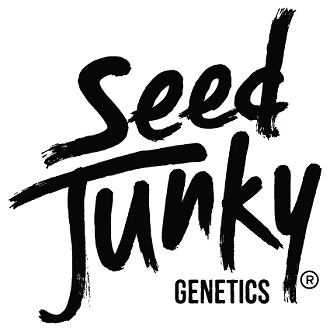 Seed Junky - 4pk - Chocolatte - 4g (I) - Seed Junky Main Image